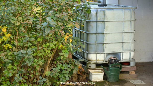 Ein IBC-Container angeschlossen an die Dachrinne eines Hauses - eine effektive Methode für nachhaltige Gartenbewässerung