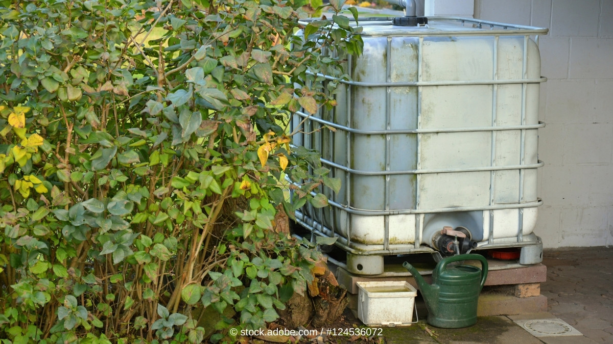 Ein IBC-Container angeschlossen an die Dachrinne eines Hauses - eine effektive Methode für nachhaltige Gartenbewässerung