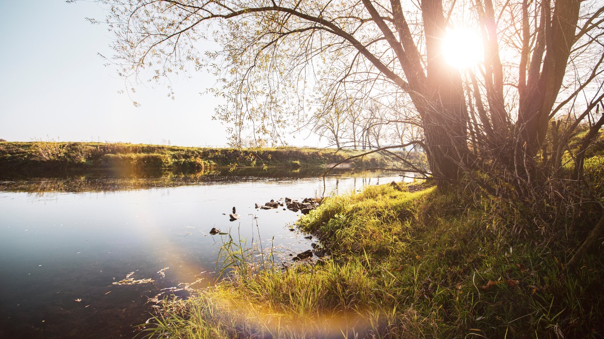 Fluss in NRW - unsere Wasserressourcen