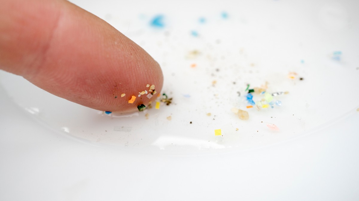 Finger mit Partikeln von Mikroplastik