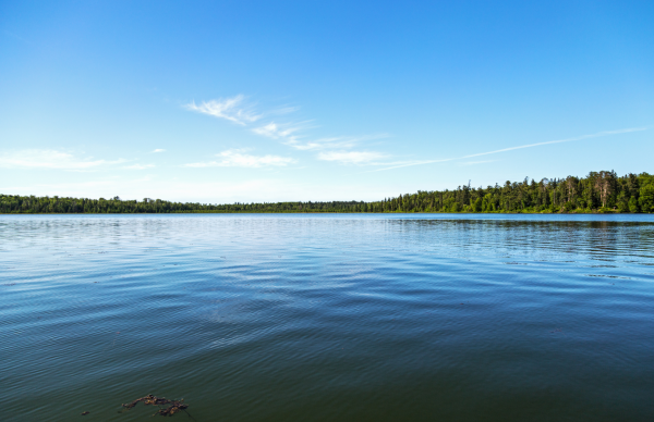 Blick auf einen See mit ruhiger Wasseroberfläche und Bäumen am anderen Seeufer. Foto: Canva