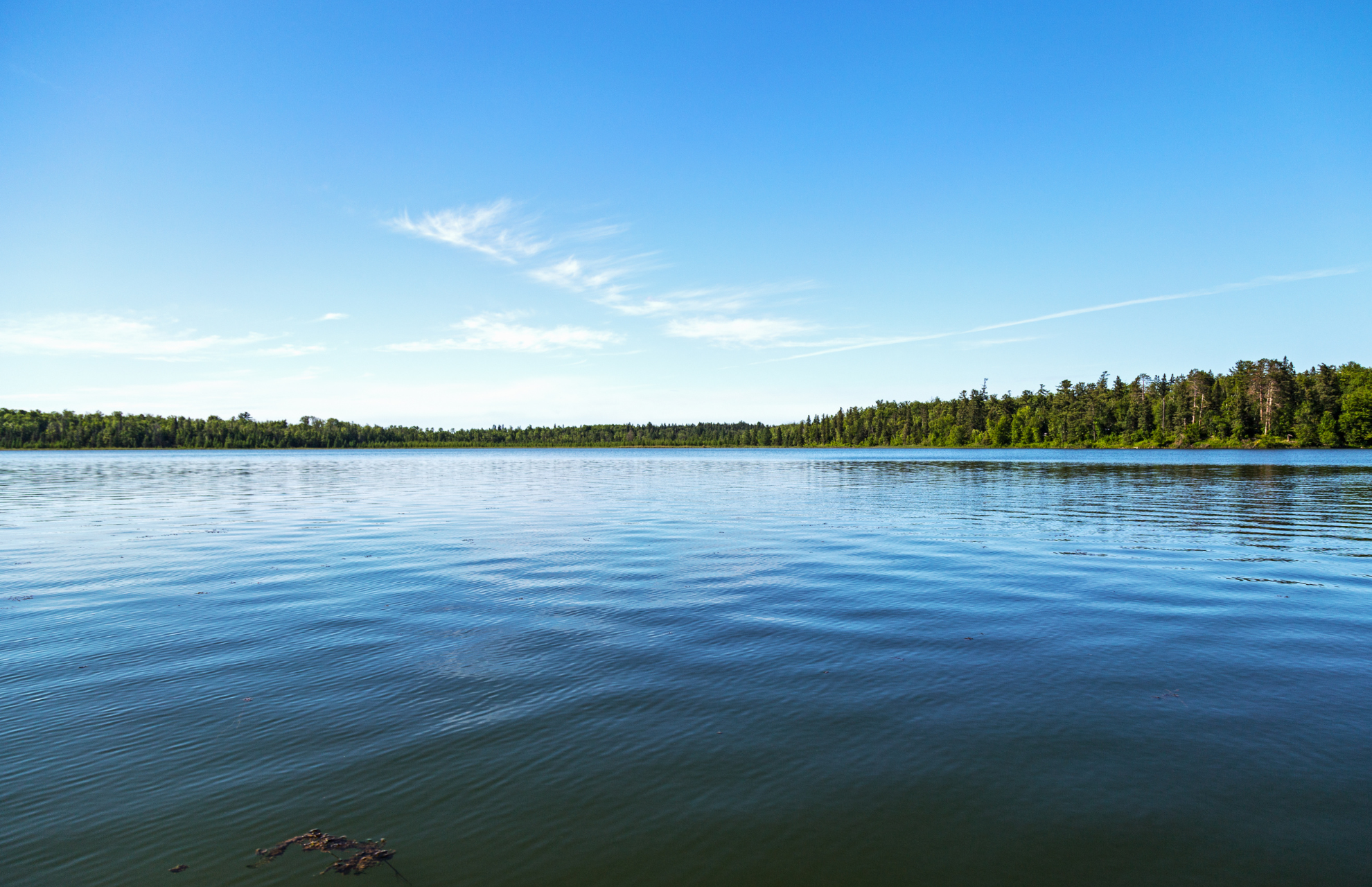 Blick auf einen See mit ruhiger Wasseroberfläche und Bäumen am anderen Seeufer. Foto: Canva