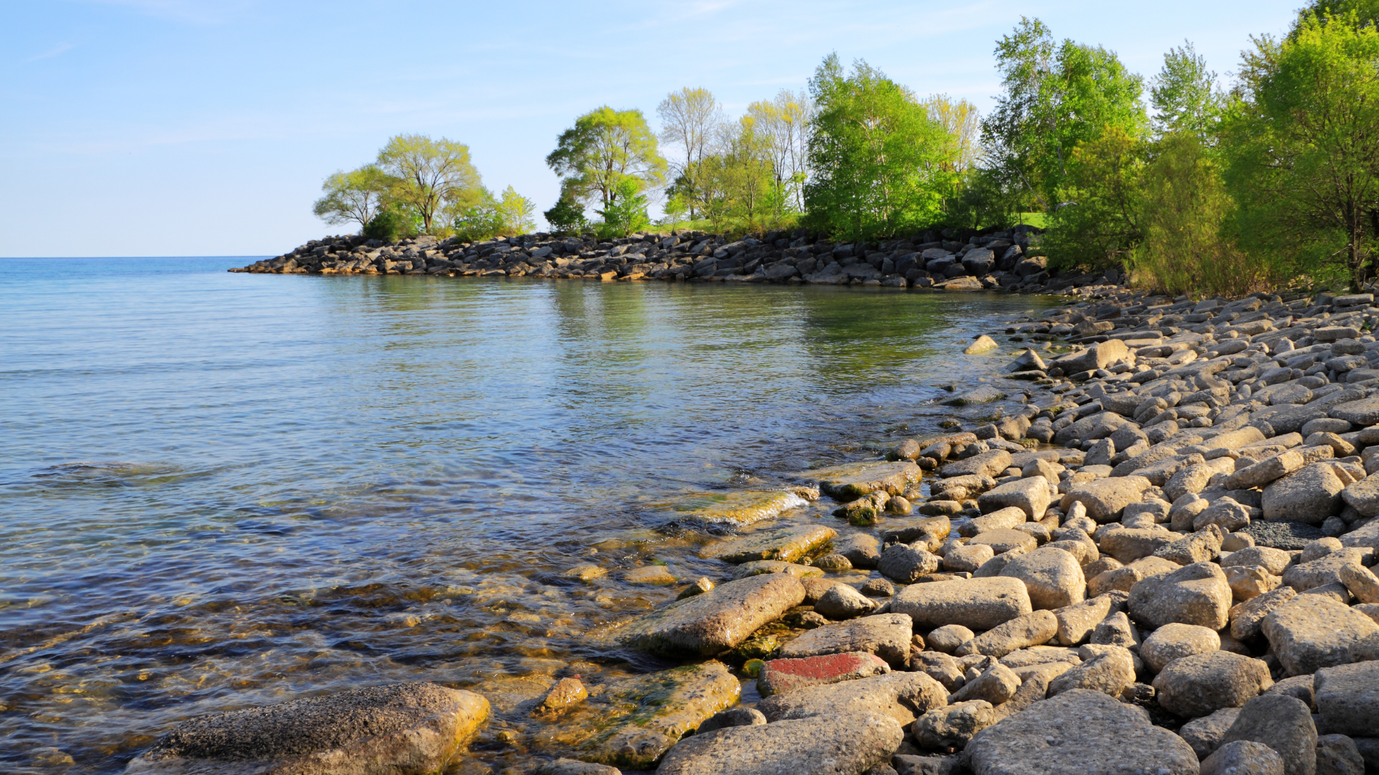 Blick auf ein Seeufer mit kleinen und großen Steinen, dahinter Bäume und das Wasser. © Canva