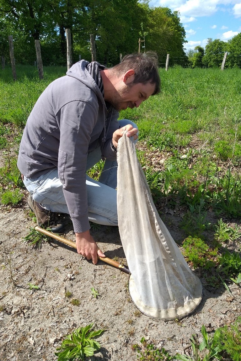 Fachmann Christian Venne beim Insektenzählen.