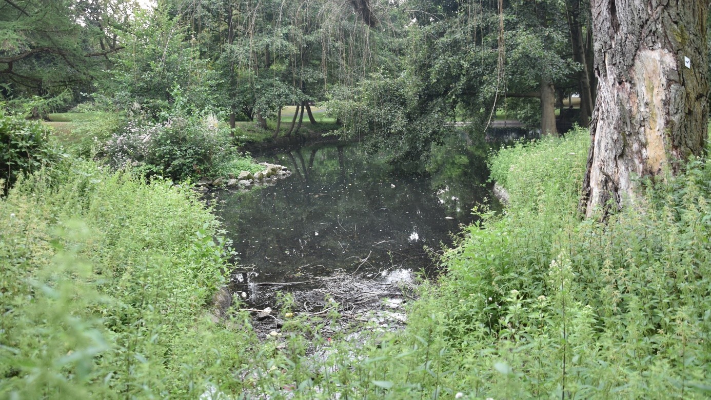 Blick auf einen Weiher im Erlbruchpark in Recklinghausen