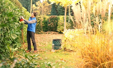 Herbst-Tipps für den Garten