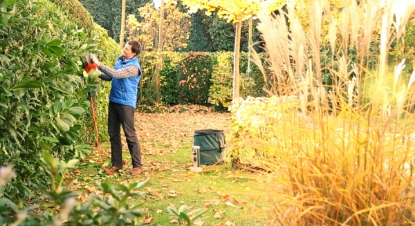 Hecke schneiden gehört im Herbst zu den Pflichten von Gartenliebhabern