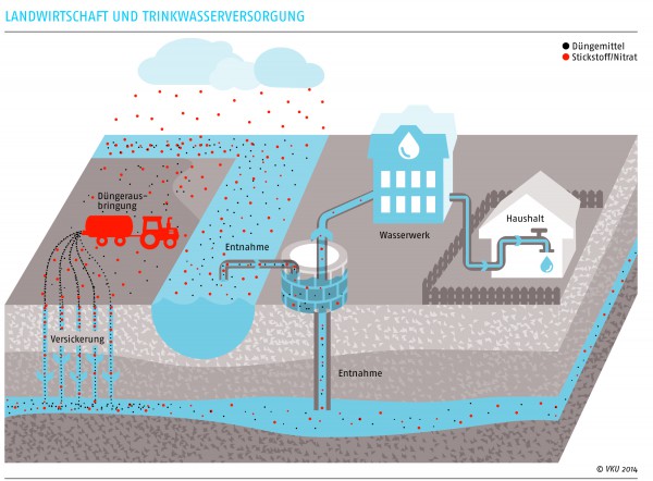 Grafik: Wie kommt Nitrat ins Grundwasser?