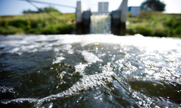 Düngeverordnung: besserer Schutz fürs Grundwasser?