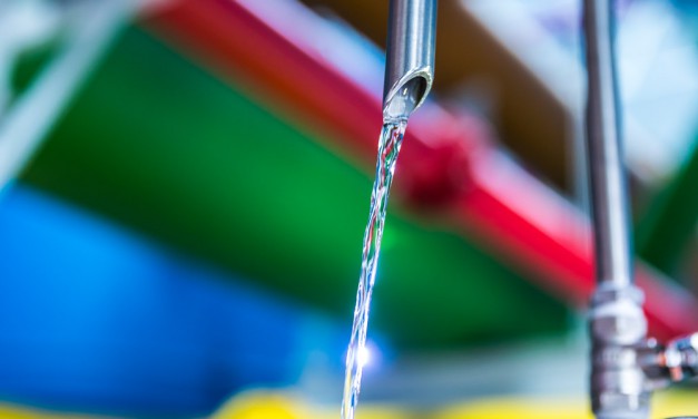 Nitrat im Wasser: Brunnen schließen oder teure Aufbereitung?