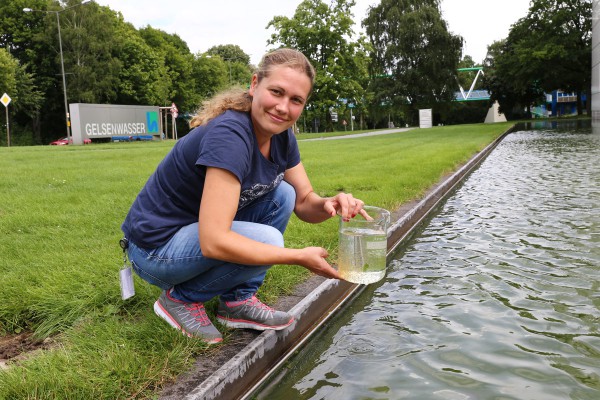 Blattfußkrebse alias Wasserflöhe werden eingesetzt