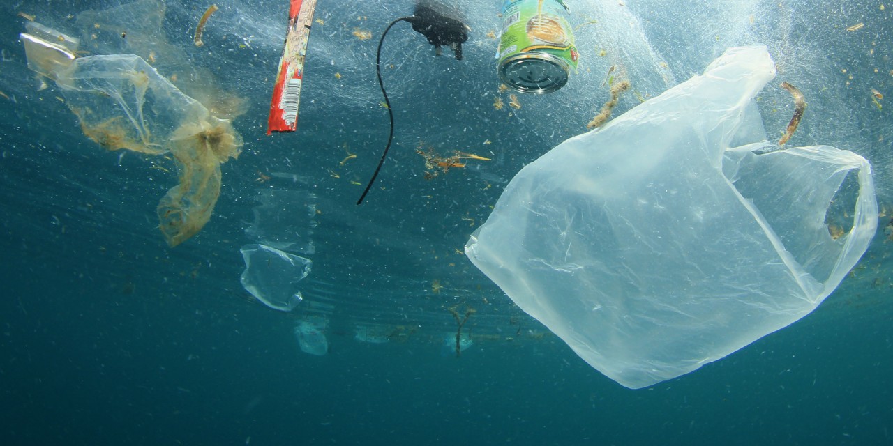 Anhörung im Landtag: Mikroplastik reduzieren