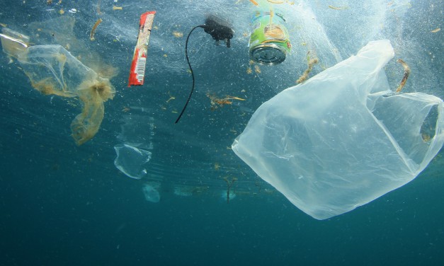 Anhörung im Landtag: Mikroplastik reduzieren