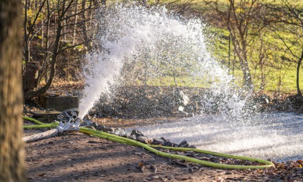 Team blau-grün hilft: Wasser für kranke Vögel