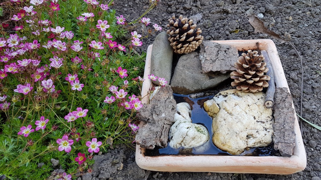 Die fertige Bienentränke zum Weltbienentag steht im Garten.