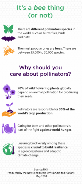 Infografik der UN zum Weltbienentag