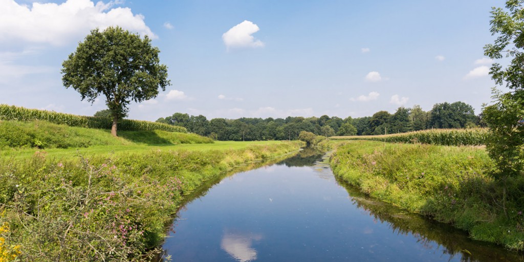 Tag der Daseinsvorsorge: Gelsenwasser setzt sich vehement für den Umwelt- und Klimaschutz sein! 