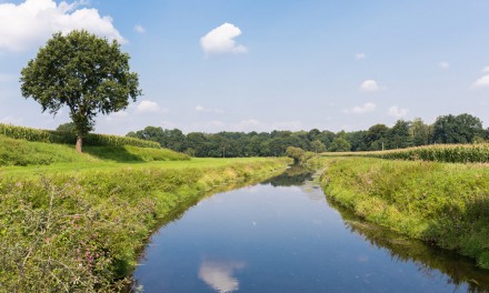 Gelsenwasser tritt der Stadtwerke-Initiative Klimaschutz der ASEW bei