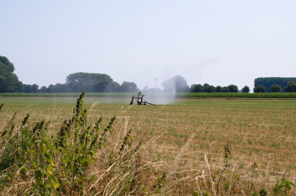 Das neue Landeswassergesetz für NRW beeinhaltet einige Streitthemen.