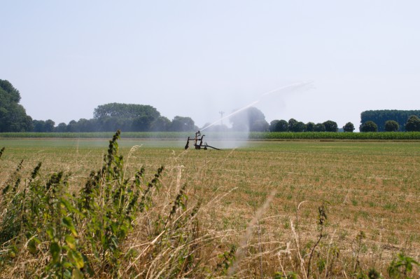 Das neue Landeswassergesetz für NRW beeinhaltet einige Streitthemen. 