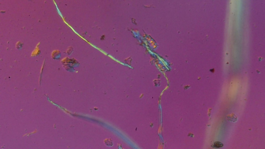 Mikroplastik unter dem Mikroskop: Es ist keine Gefahr im Trinkwasser.