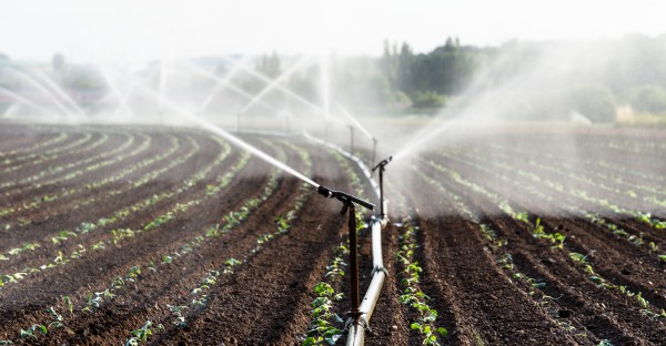 Landeswassergesetz, Bewässerung Landwirtschaft, Vorrang Trinkwasser