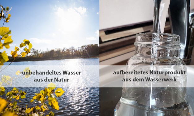 Rohwasser vs. Trinkwasser: Die Aufbereitung macht den Unterschied