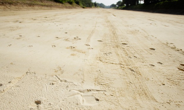 Halterner Sande: geologischer Schatz für die Trinkwassergewinnung