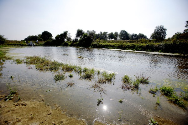 Künstliche Grundwasseranreicherung im Wasserwerk Haltern