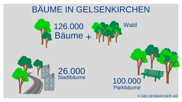 So viele Bäume gibt es in Gelsenkirchen
