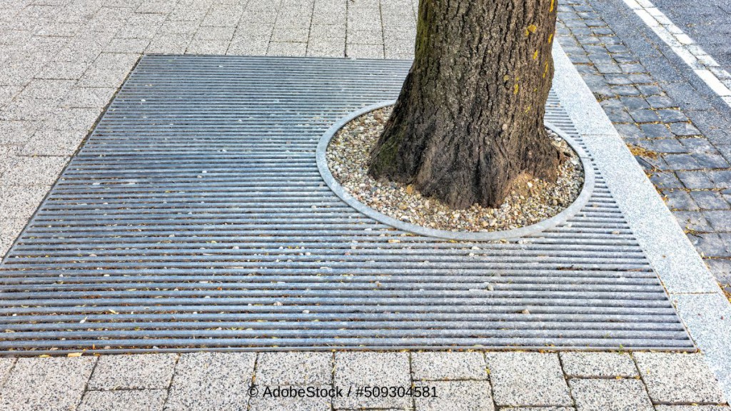 Bäume in der STadt haben oft viel zu wenig Platz