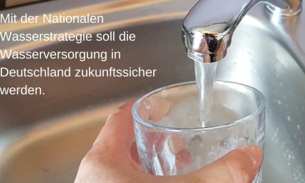 Was ist die Nationale Wasserstrategie?