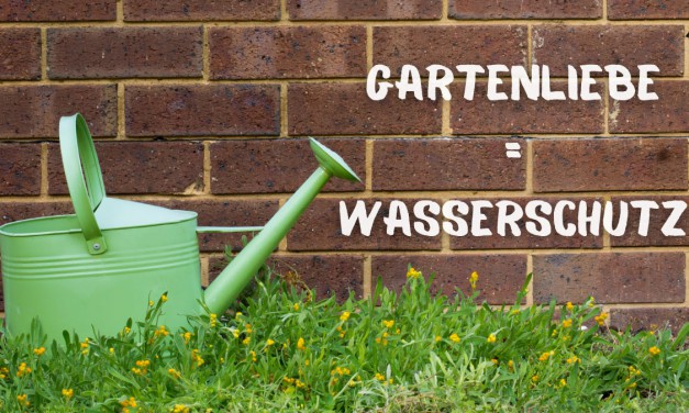 Wasser im Garten nachhaltig verwenden