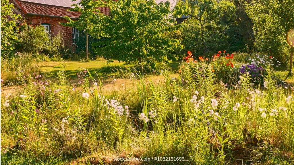 Ein Garten mit vielfältiger PFlanzenwelt